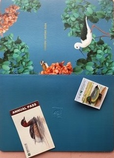 單人年卡+小水鴨徽章+自然展筆記本(限量)