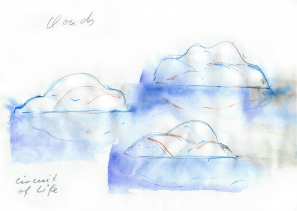 雲 生命迴路clouds Circuit Of Life 關渡自然公園