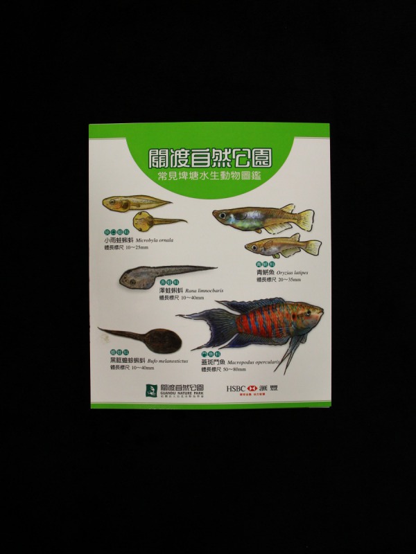 水生動物圖鑑 關渡自然公園